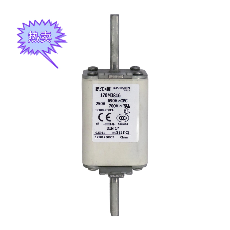 快速熔斷器170M3816（250A）