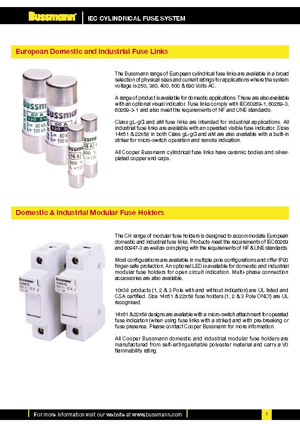 C22系列22*58熔斷器 C22系列22*58熔斷器